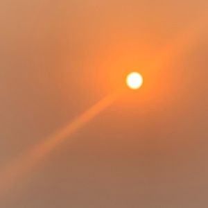 Meet your Posher, Florence